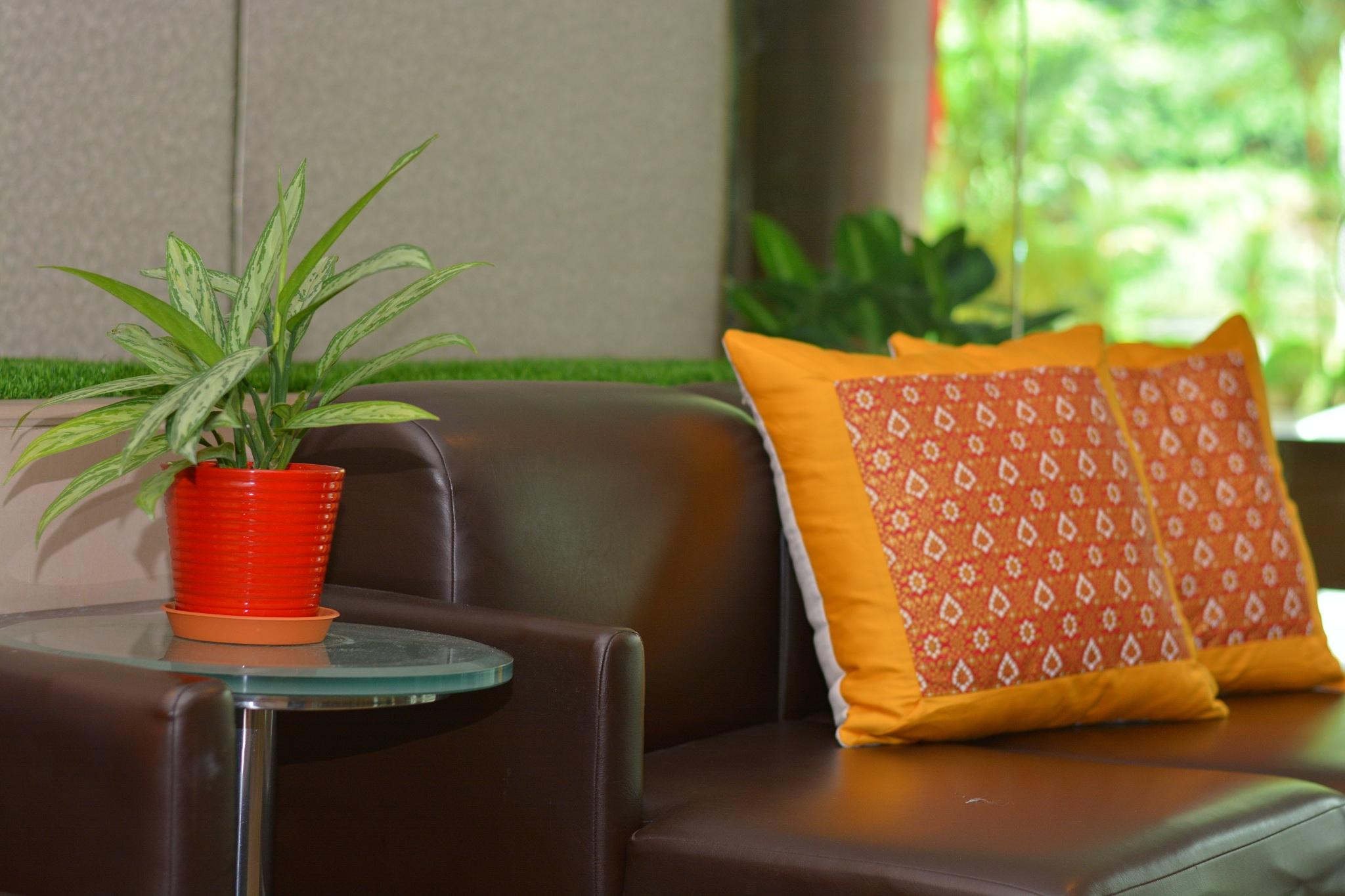 Aparthotel The Maple 3*