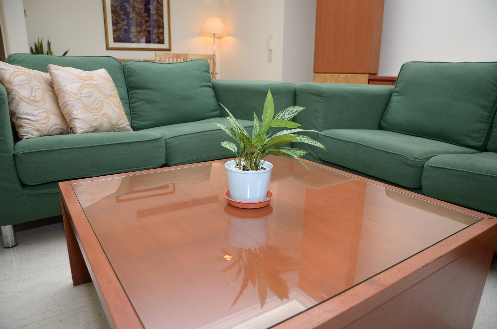 Aparthotel The Maple